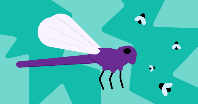 Grow a dragonfly