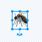 The mosquito emoji in the paint editor.